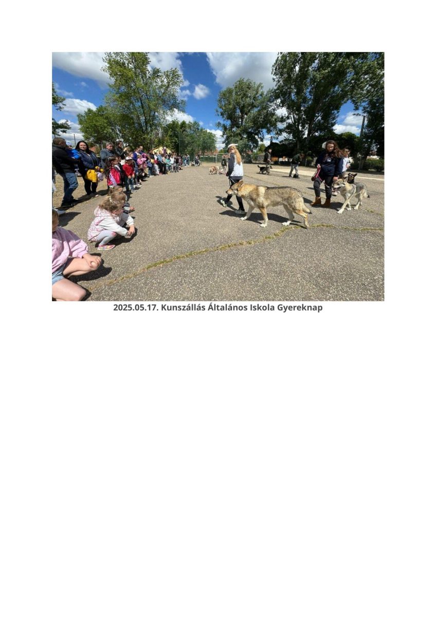 0029 (1) (1)
