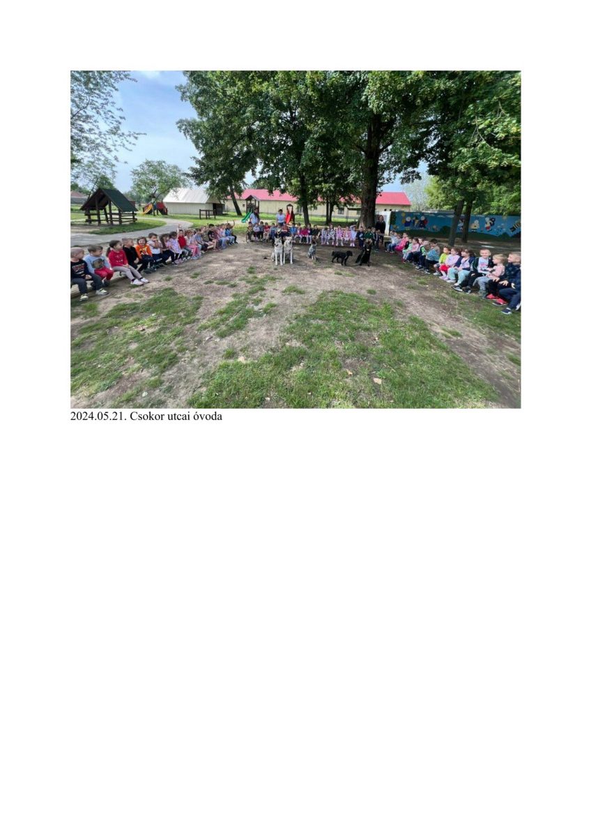 0033 (1)