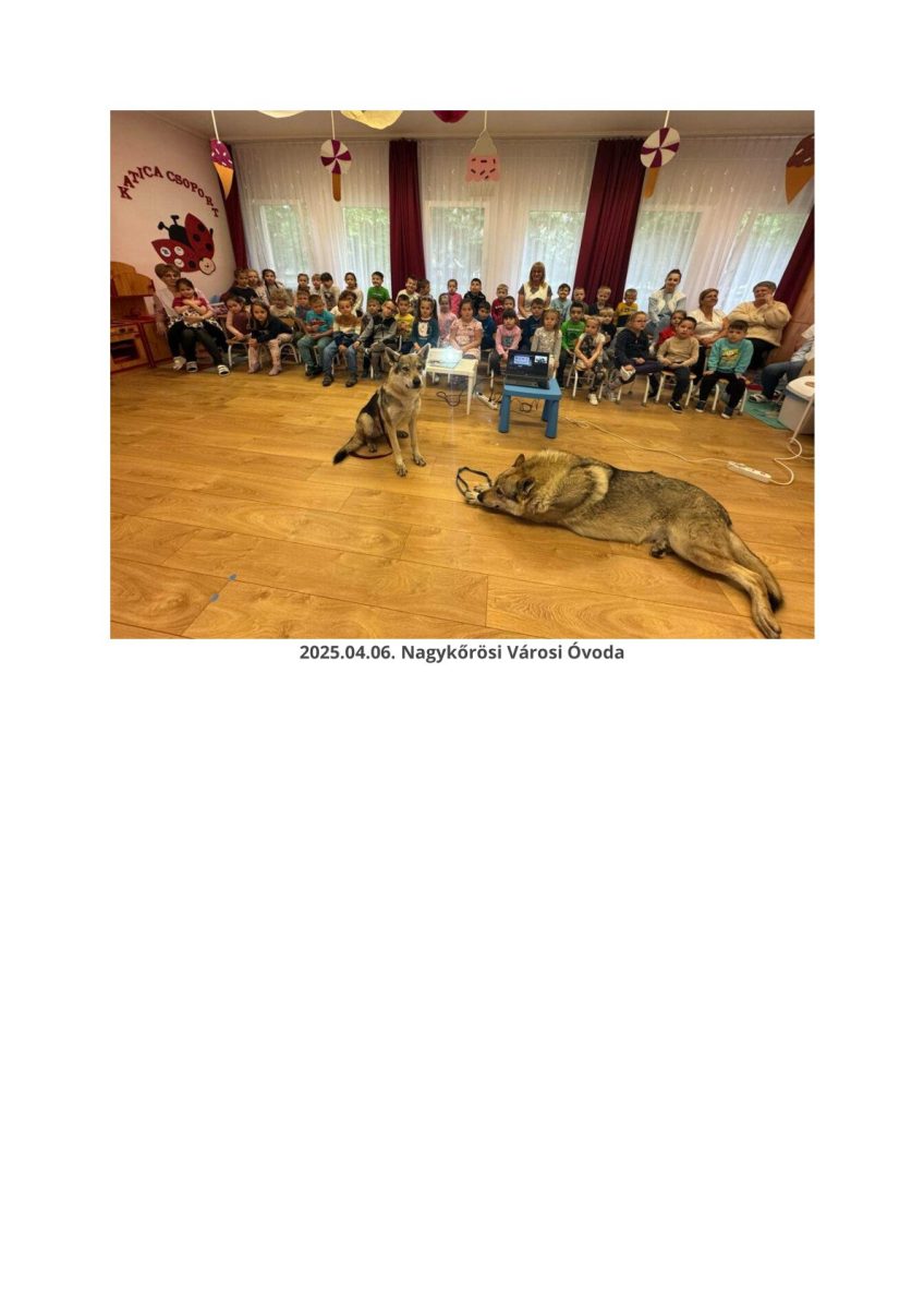 0033 (1) (1)