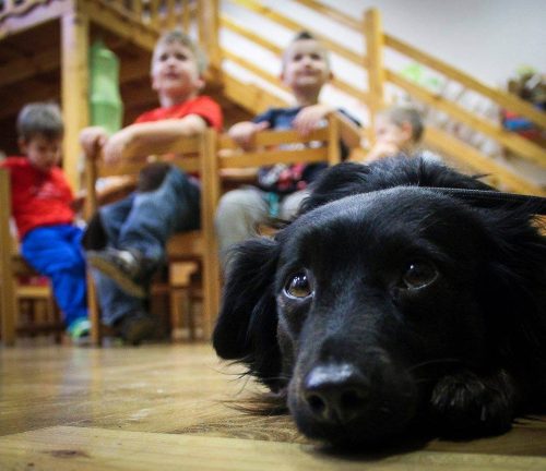 10403423 912859338739408 52838428459228750 n